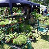 Plant stall