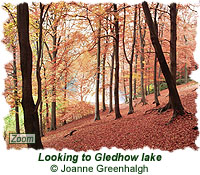 Looking to Gledhow lake
